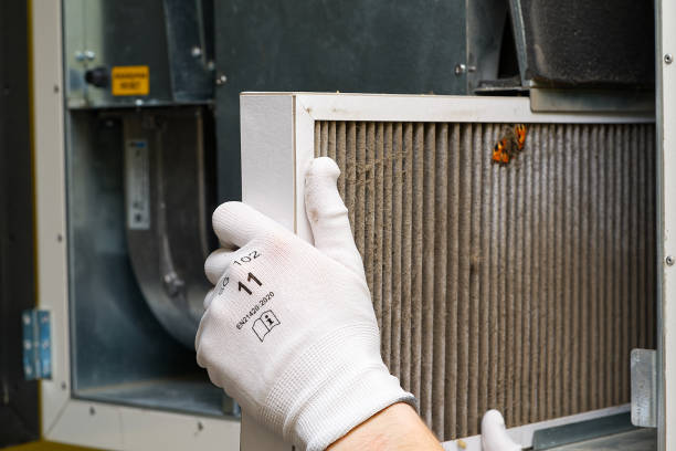 Best Air Duct Mold Removal  in Coopertown, TN