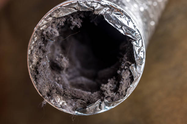 Best Home Air Vent Cleaning  in Coopertown, TN