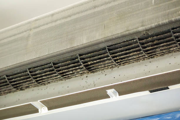Best Affordable HVAC Duct Cleaning  in Coopertown, TN